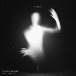 Spirits (Shifu Remix)
