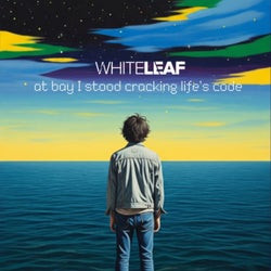 At Bay I Stood, Cracking Life's Code