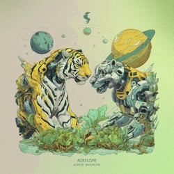 Acid Love /  Kora