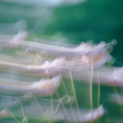 Soft Touch
