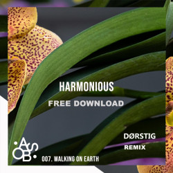 Walking on Earth (DØRSTIG Remix)
