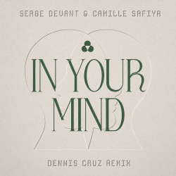In Your Mind (Dennis Cruz Remix)