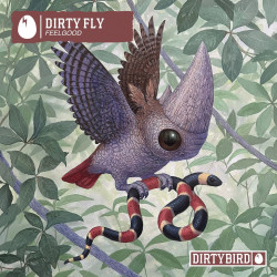 Dirty Fly