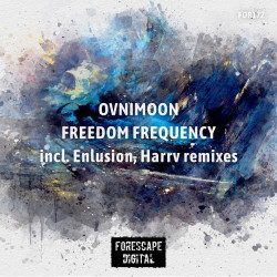 Freedom Frequency (The Remixes)