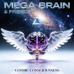 Friends Pres. Cosmic Conciousness