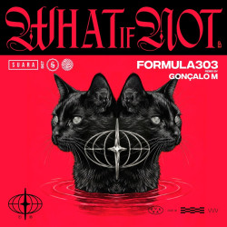 What If Not 