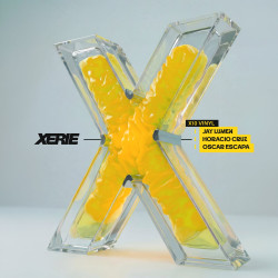 X10 Vinyl
