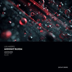 Midnight Bloom