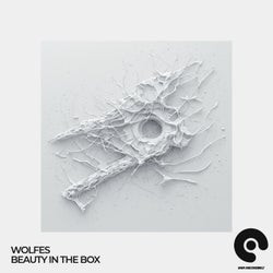 Beauty in the Box