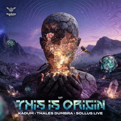 This Is Origin