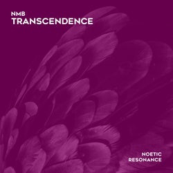 Transcendence