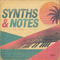Synths & Notes, Vol. 11  