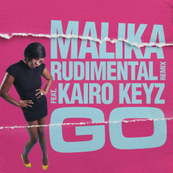 Go (Rudimental Remix)