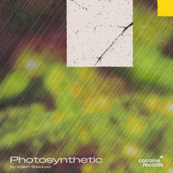 Photosynthetic