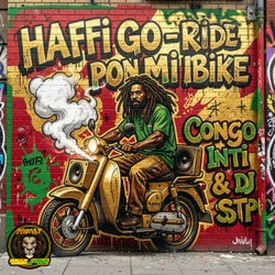 Haffi Go / Ride Pon Mi Bike