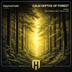 Calm Depths of Forest