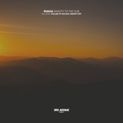 Gravity to the Sun