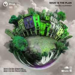 What Is the Plan