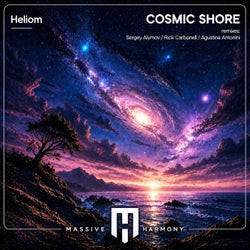 Cosmic Shore
