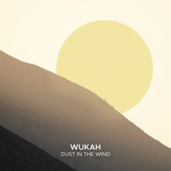 Dust In The Wind
