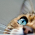houze_23