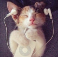 Bassbooster